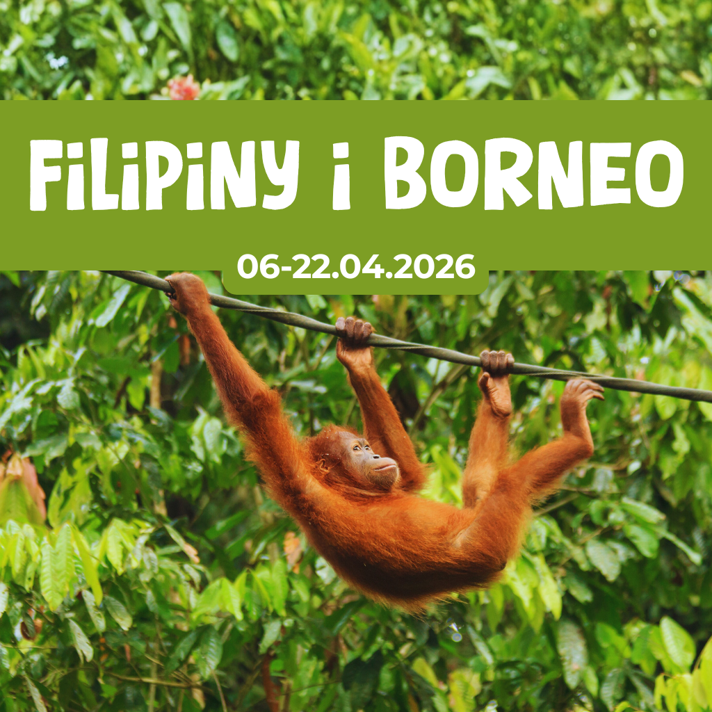 Wyjazd na Filipiny i Borneo